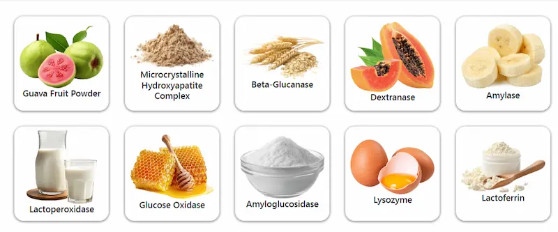 Synadentix Ingredients